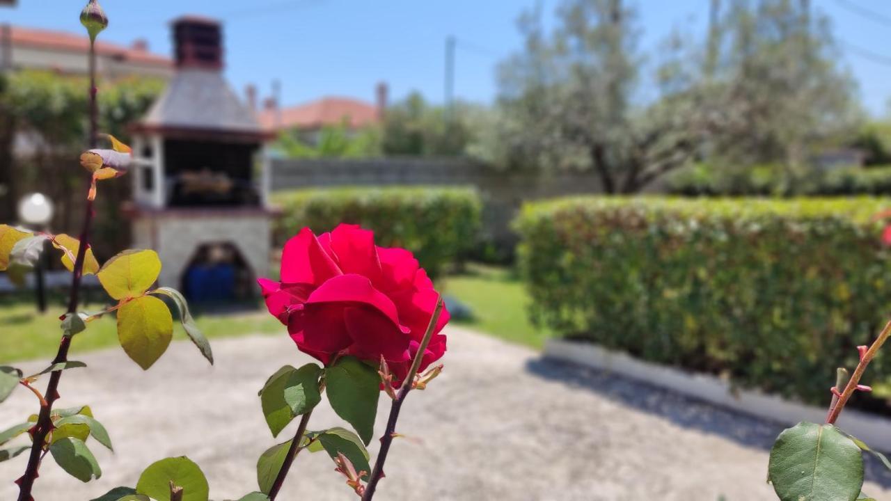ニキティ Elina House And Gardenヴィラ エクステリア 写真